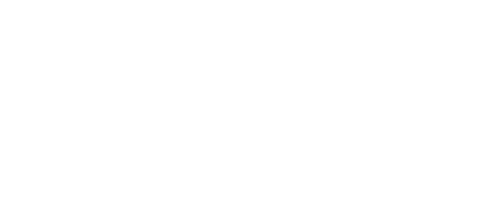 Bombay Sapphire Seeklogo